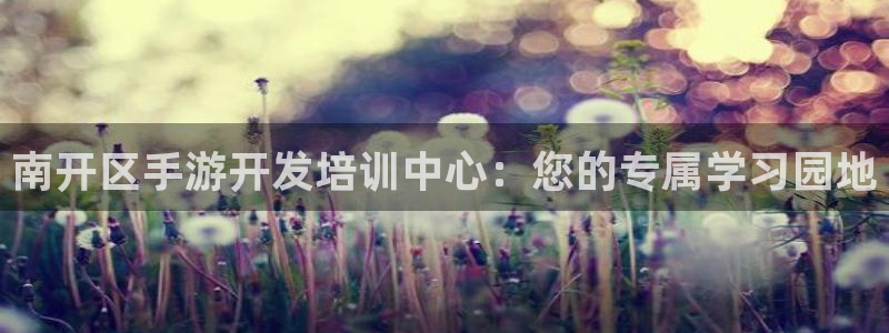 巅峰国际注册：南开区手游开发培训中心：您的专属学习园地
