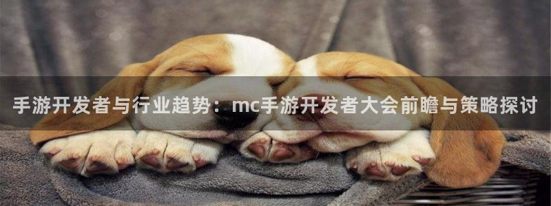 巅峰国际官网：手游开发者与行业趋势：mc手游开发者大会前瞻与