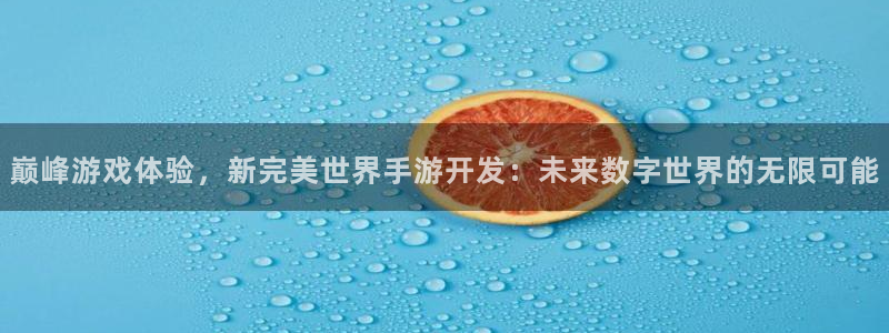 巅峰国际平台：巅峰游戏体验，新完美世界手游开发：未来数字世界
