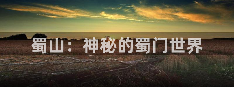 巅峰国际下载：蜀山：神秘的蜀门世界