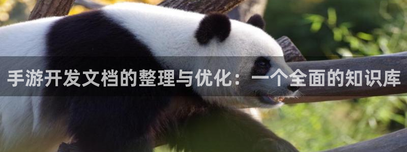 巅峰国际平台：手游开发文档的整理与优化：一个全面的知识库