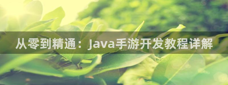 巅峰国际登陆：从零到精通：Java手游开发教程详解