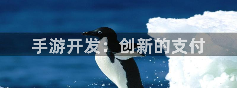 巅峰国际：手游开发：创新的支付
