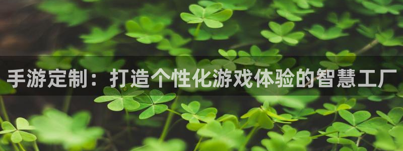 巅峰国际下载：手游定制：打造个性化游戏体验的智慧工厂