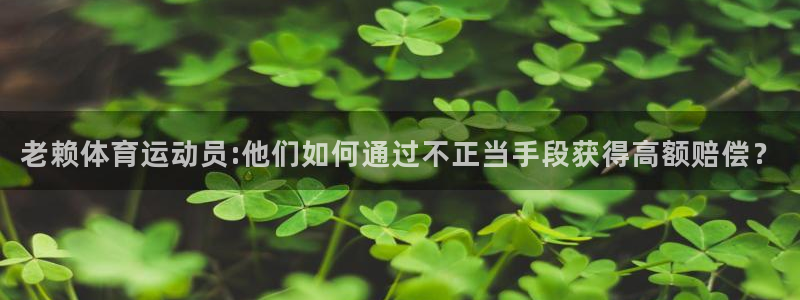 3377体育是正规的吗