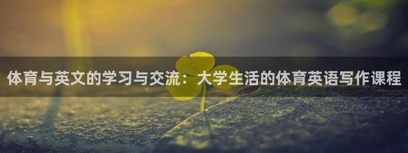 3377体育app登录入口：体育与英文的学习与交流：大学生活的体育英语写作课程
