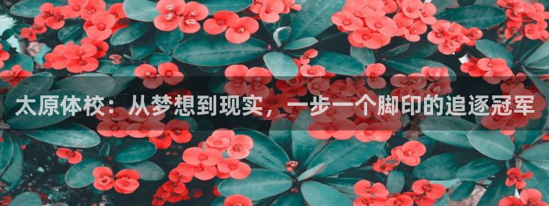 3377体育官方app下载：太原体校：从梦想到现实，一步一个脚印的追逐冠军